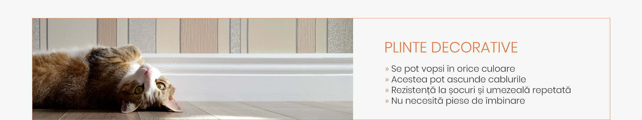 int-04-plinta-decorativa int-04-plinta-decorativa